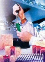 Een kijkje in het laboratorium