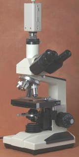 Op deze foto een microscoop die voorzien is van een videocamera. Het object onder de microscoop wordt dus, ook voor andere mensen, zichtbaar op een kleurenscherm.
