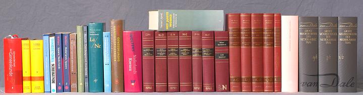 Op deze foto een rij woordenboeken.